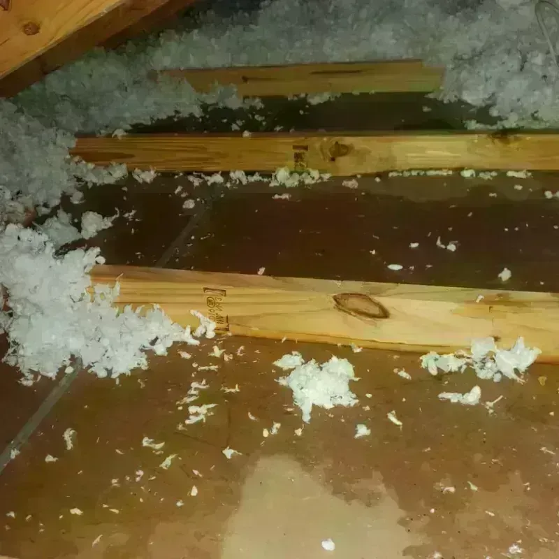 Attic Water Damage in Cross Plains, TN